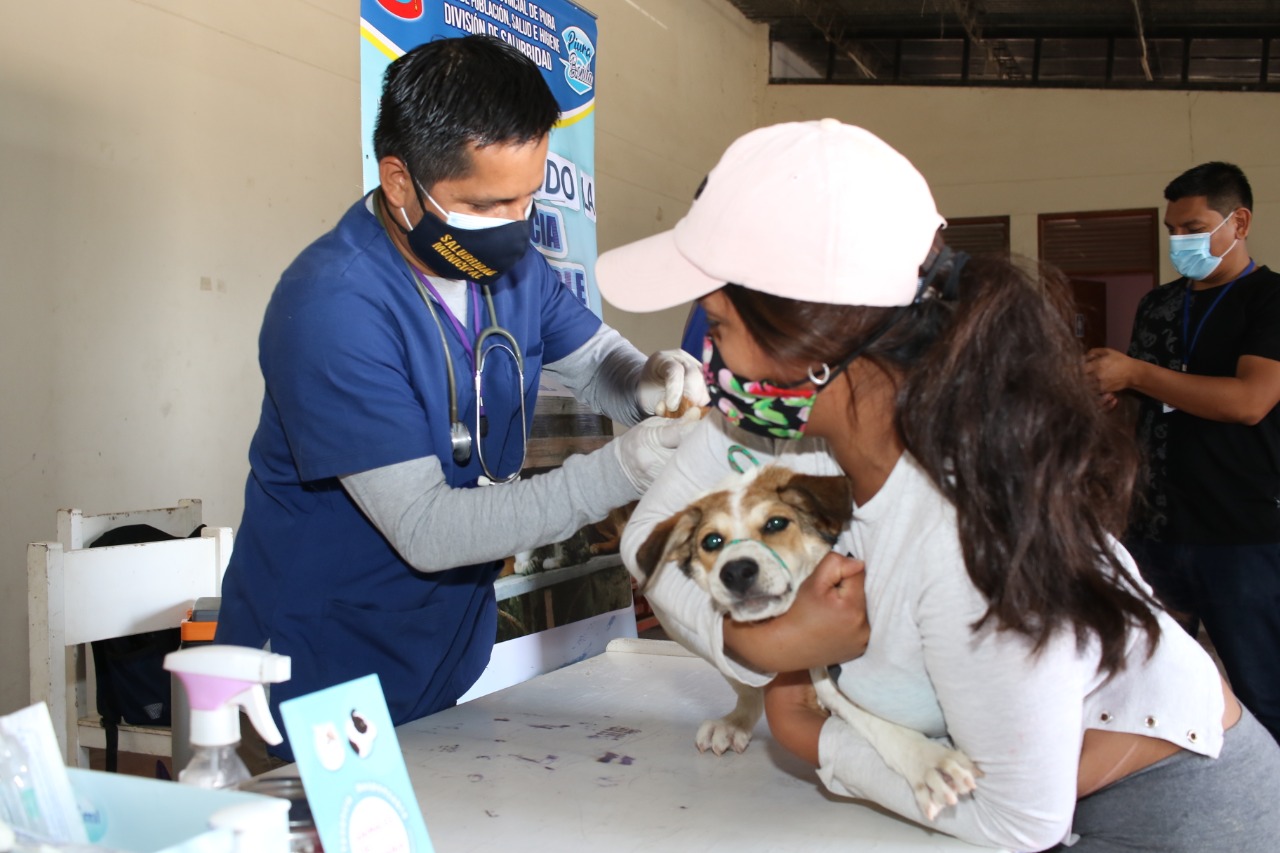 Alcalde Juan José Díaz campaña mascotas Ejidos del Norte piura2