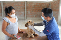 Campaña para promover tenencia responsable de mascotas en A. H. Juan Valer