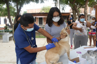 MPP realiza campaña veterinaria en el A.H. Quinta Julia