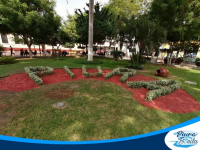 Implementan paisajismo urbano en parques y avenidas de Piura